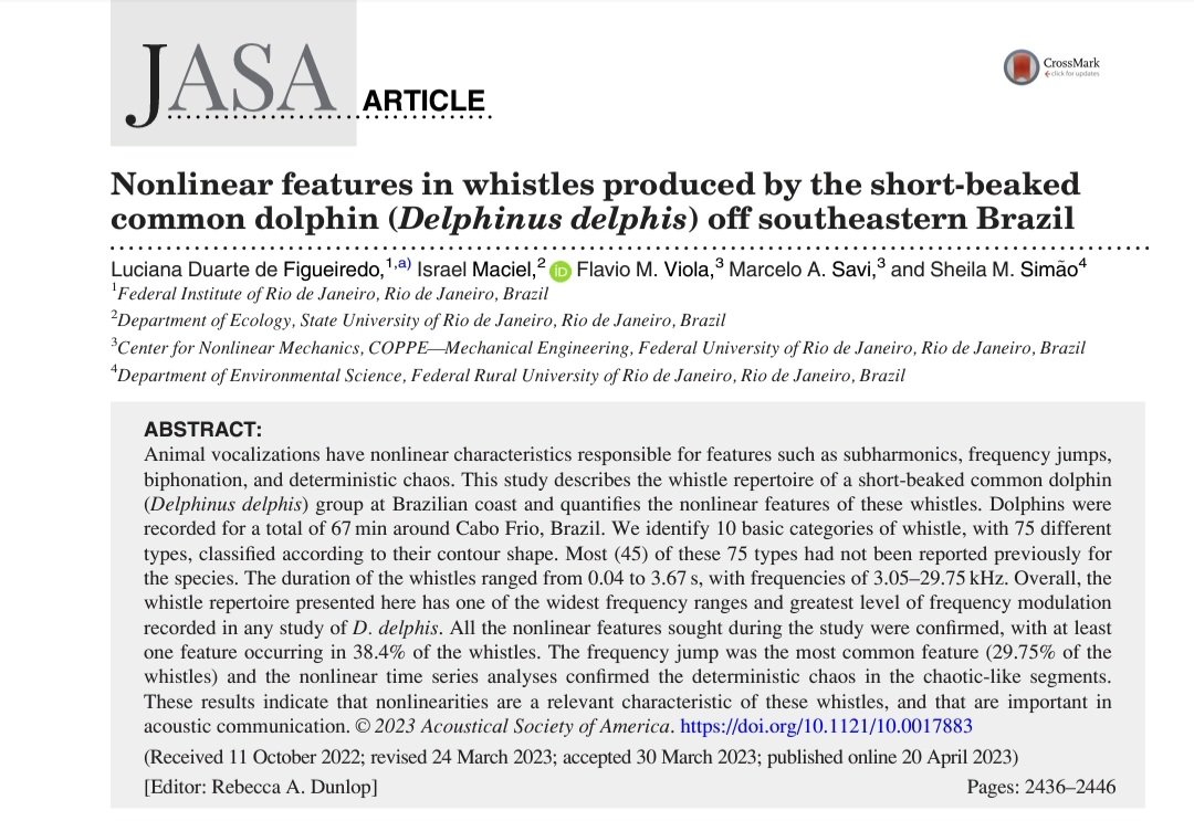 Israel Maciel tweet media