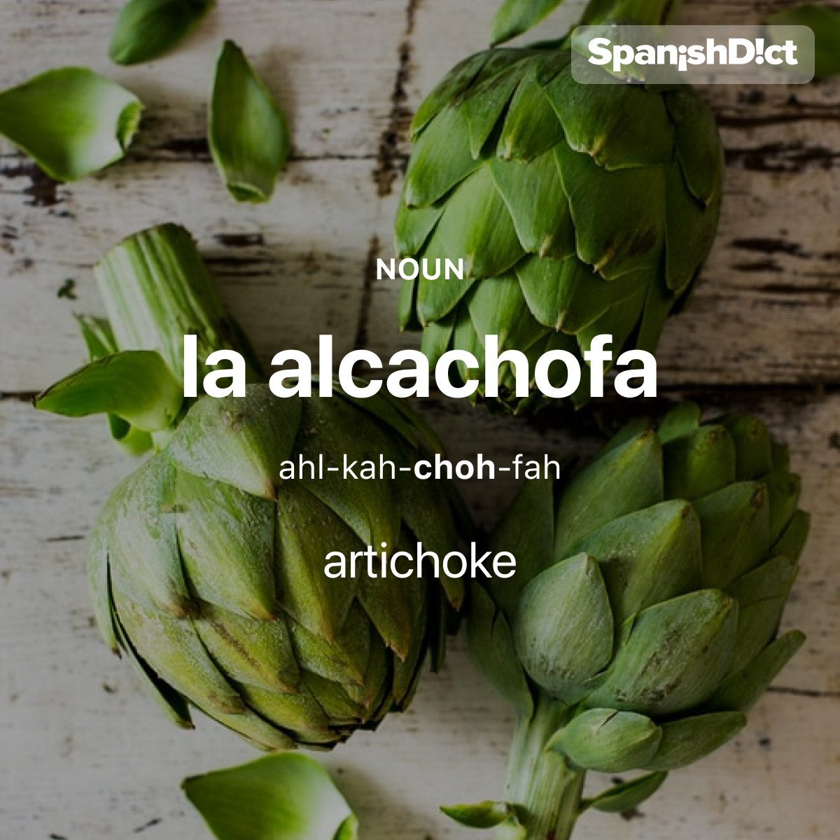 Today's #WordOfTheDay is 'alcachofa.' 🥦 For example: De cena hice cordero con alcachofas.  - I made lamb with artichokes for dinner. 
.
.
.
 #StudyEnglish #EstudiaIngles #LearnEnglish #AprenderIngles #Ingles #AprendeIngles #EstudiarIngles #alcachofa #artichoke #alcachofa