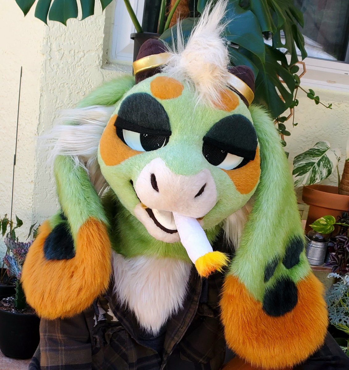KiisCreatures's tweet photo. 🌿Nug the joint dragon!🌿
420 pre-made auction
More info below⬇️
#fursuit #fursuitforsale #420day https://t.co/mGUO8nZTx0
