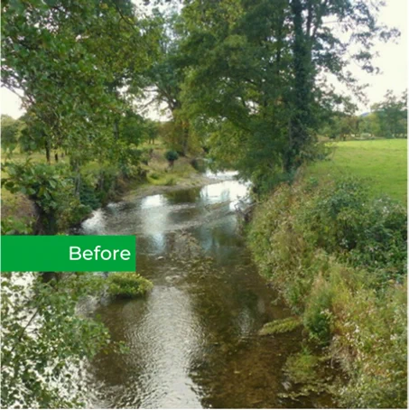 Photo of River Lugg surrounded by green plants and shrubs