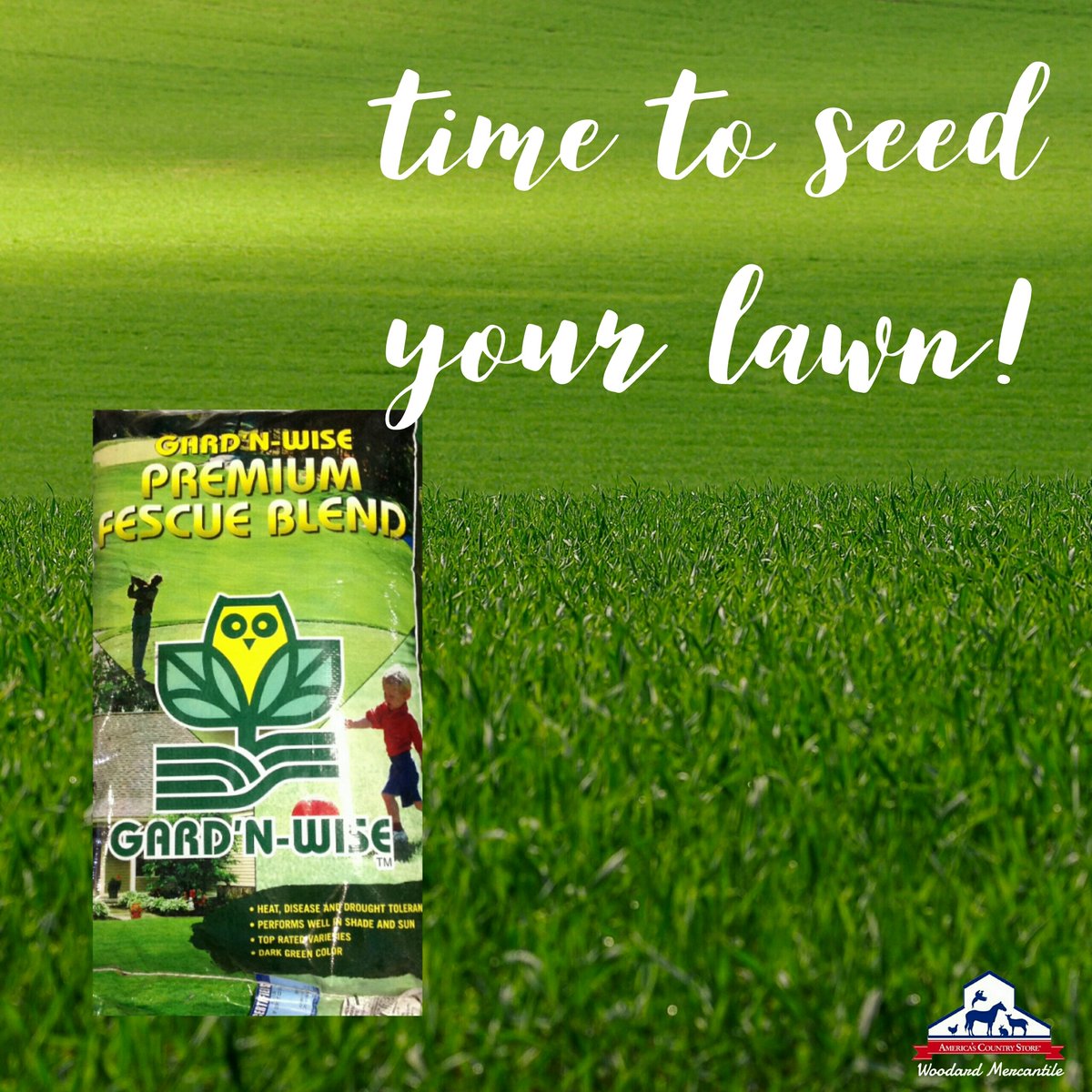WoodMerc's tweet photo. It's time to get your grass seed down! 
Come see us today for everything you need to get growing.  We have all sizes of the Kansas Premium Fescue blend in stock, along with starter fertilizers,  spreaders, sprinklers &amp; more. 

#woodardmercantile  #Springtime #spring #shoplocal https://t.co/RNdwkqUugM