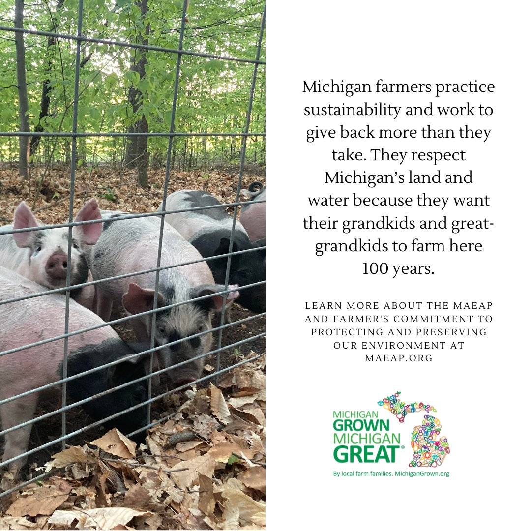MichAgCouncil's tweet photo. Earth Day is right around the corner (April 22), but Michigan farmers are dedicated year-round to preserving and protecting the land, water, and air we all need in order to pass their livelihoods to the next generation.

#Sustainability #MichiganAF #MAEAP https://t.co/3pZtqwCT5s