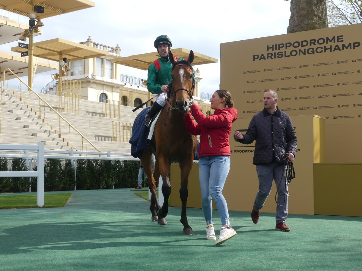 seenthestars's tweet photo. #Valimi took a step forward from his reappearance run to land the Prix Machado @paris_longchamp for @AgaKhanStuds Jean-Claude Rouget and @CristianDemuro. Adds to his owner/breeder's options for the Emirates Poule d'Essai des Poulains alongside Rajapour. https://t.co/6NNuXiwxcV