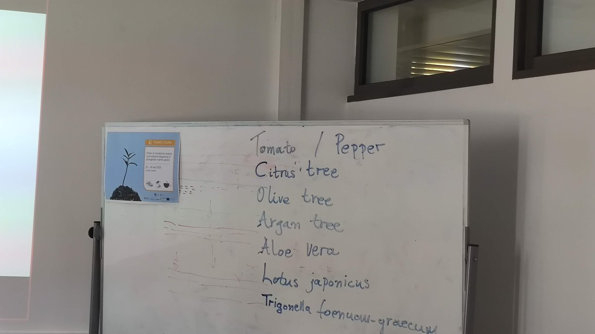 INTOMED_PRIMA tweet media