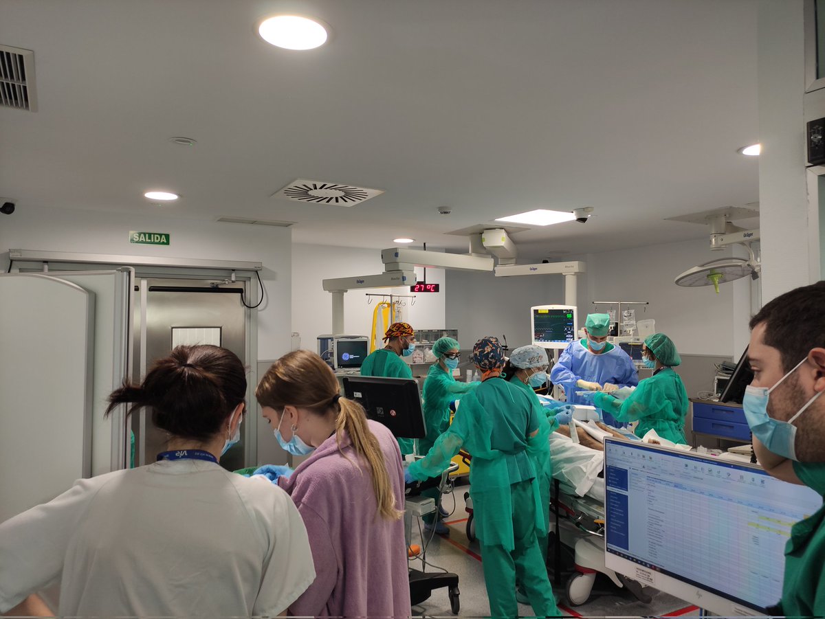 Todos a la vez, cada uno una cosa, en el centro, el enfermo: shock hemorrágico, transfusión masiva, búsqueda del foco inestabilidad, comunicación, coordinación, pocos datos, toma de decisiones, docencia, investigación, un día más en la oficina?