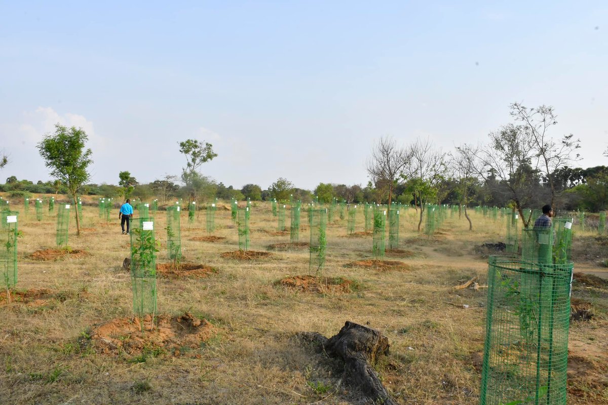World Vision India's partnership with We Are Water Foundation, the CSR wing of ROCA India, planted around 1000 native trees  to reduce soil erosion and installed watershed structures across Thenur Village, Tamil Nadu #EarthDay2023 #InvestInOurPlanet
