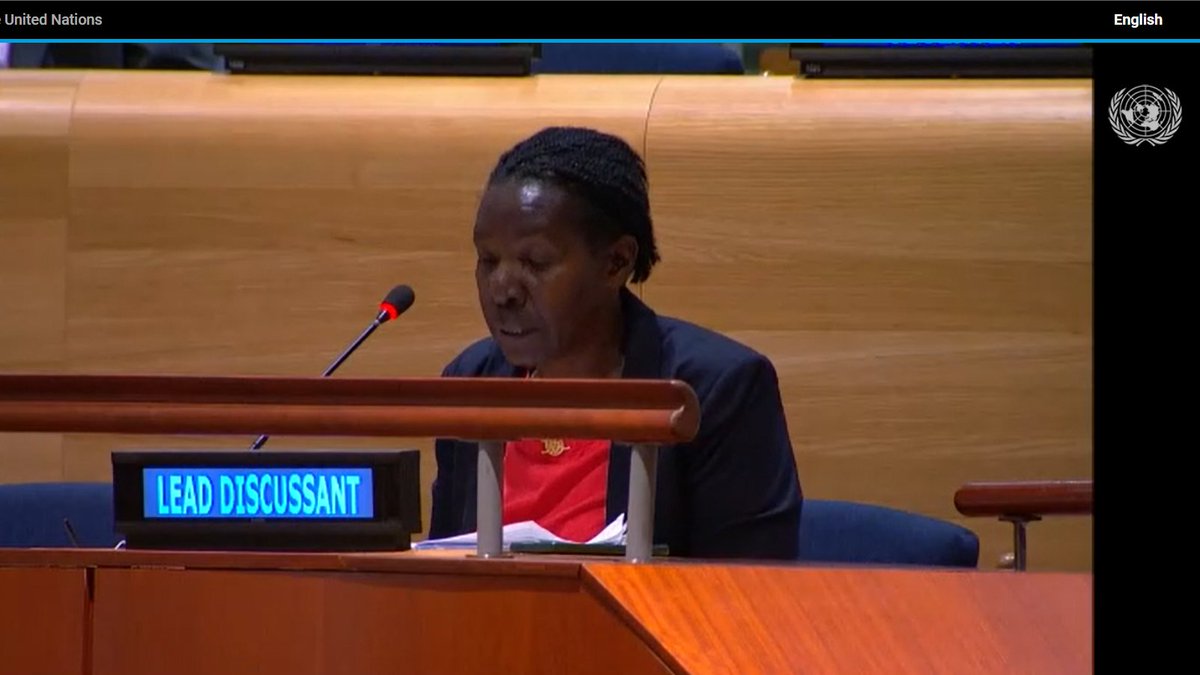 @UNECOSOC #Fin4Dev #FfD4 Ms Jane notes that Agro- Industrialisation is one of the pathways  to agricultural development in Africa @Danielle_H_BE @MATS_H2020 @MAAIF_Uganda @mtic_uganda @UNDP @SeatiniU @herbertk4