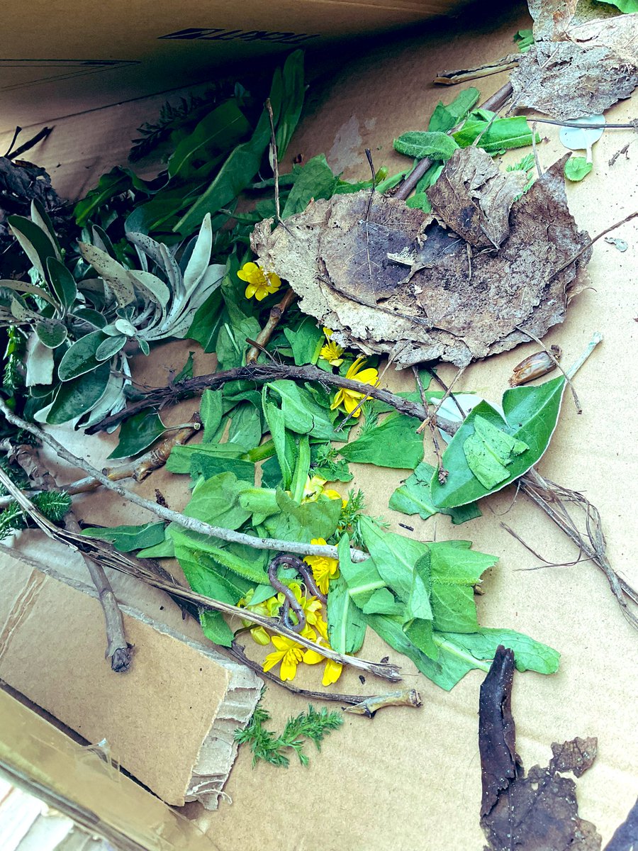 We loved working together to build a bug house this week in Reception. We stuck the pieces of cardboard together before decorating the house with different minibeast pictures. Then we went around the garden to collect different things to go inside the house for the bugs. #EYFS