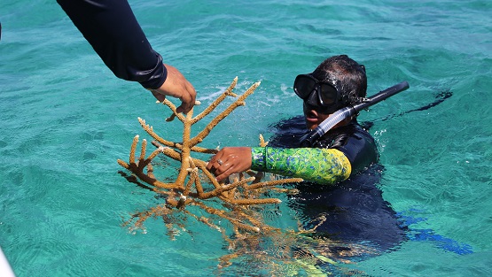 UNBiodiversity's tweet photo. Nature-based solutions are increasingly seen as integral to climate and biodiversity goals.    Examples include the creation or restoration of urban green spaces, forests, coral reefs, rivers, floodplains, and grasslands — to name a few.
https://t.co/LdNu3mukZd

Via @WBG_Climate https://t.co/q7lvG2xOzJ