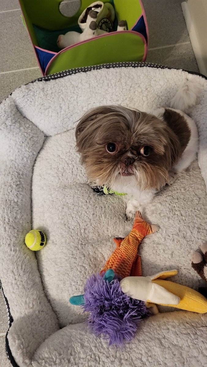 ugotdebbie's tweet photo. Chewy...
#GotSnacks ? https://t.co/NGsT3JeQJV