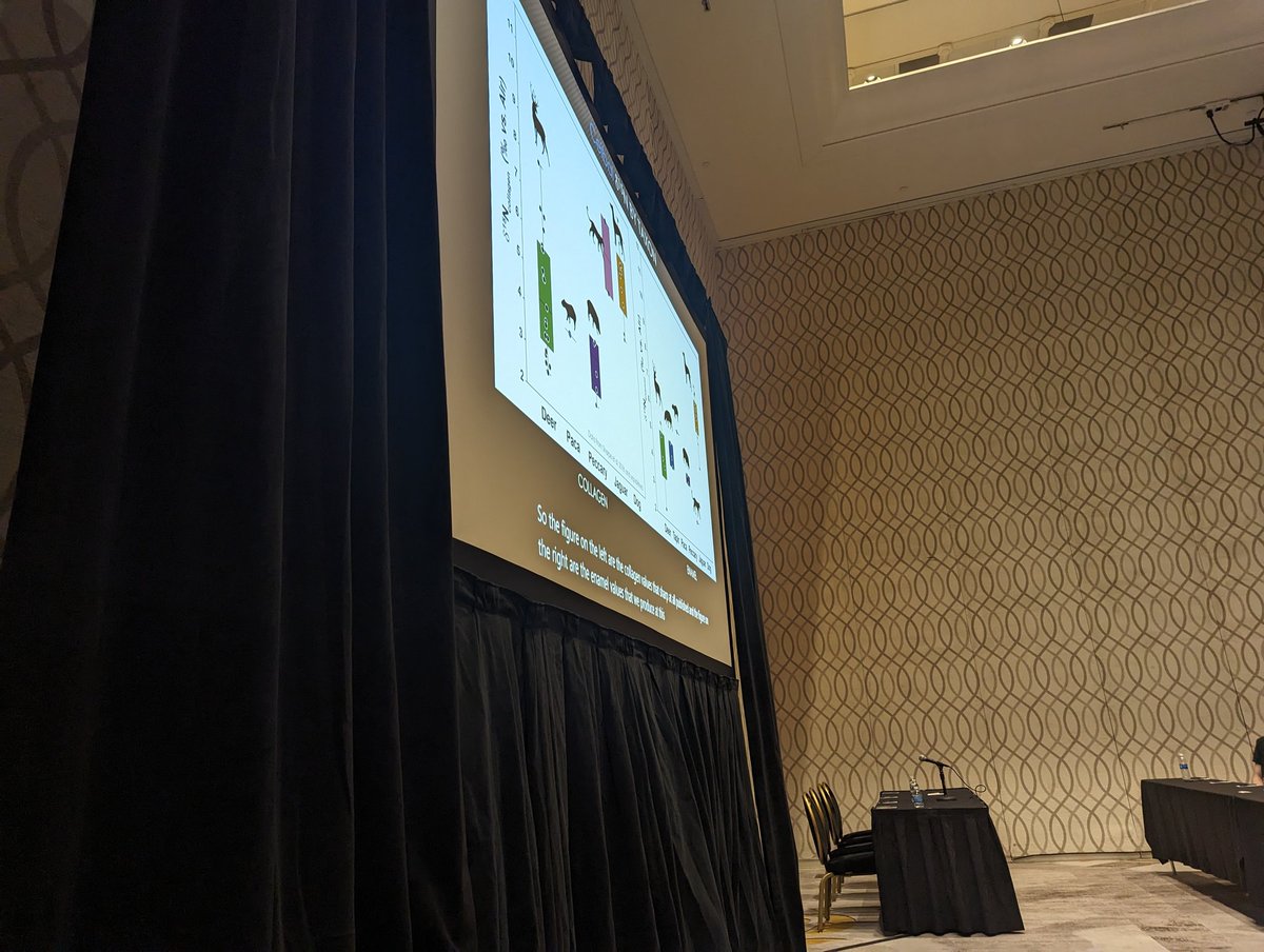 ChrisStantis's tweet image. The worst part of chairing an amazing question is I can&apos;t see the presentation well 😩
Come learn about new #isotopes research in Tuscany 3, 8-noon today! #AABA2023