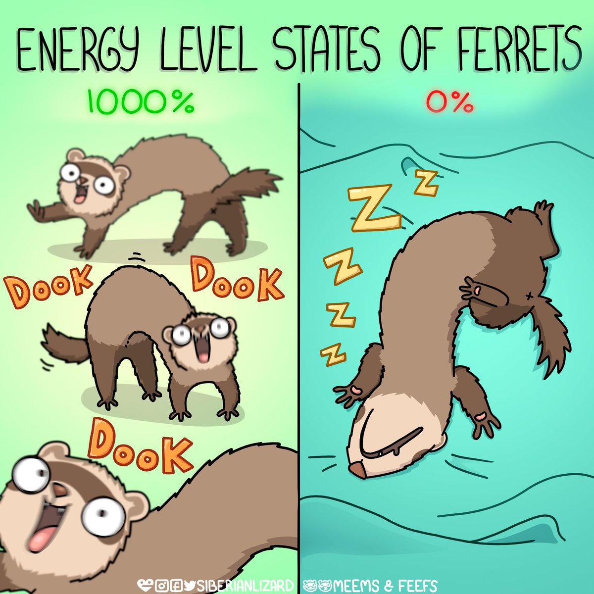siberianlizard's tweet photo. There are only two π€ͺπ΄ Do your pets have their βcrazy timeβ?
.
.
.
#ferrets #ferretsofinstagram #comicstrip #funny #comics #energy https://t.co/Ki9MPLqnHb