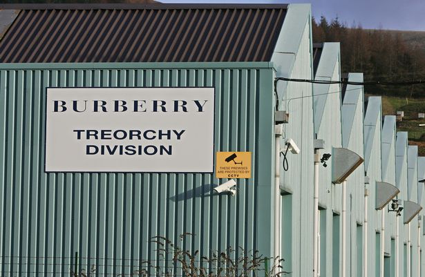 Marina Johnson tweet media