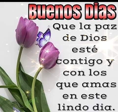 Muy buenos días para ti, para todos 
🌅🌄🤗 #ManoDeHierro
<a href="/ortja5/">Julio And2</a> <a href="/bellabella_91/">Bella_91</a> <a href="/molinarj1984/">Reynaldo</a> <a href="/TEmma54/">T-Emma54</a> <a href="/yustij1993/">MariMav5</a> @vanessa__0010 <a href="/solymart1/">solymart</a> <a href="/azubarbeba2/">Azubar Dudamel</a> <a href="/cpmarp21/">CpMarp21 🐾🐾</a>