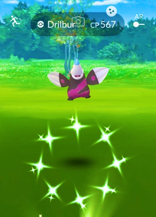 PkmnMasterHolly's tweet photo. ✨Shiny hype so hard that you jump for joy higher than the shiny stars!!!!! ✨#PokemonGO #PokemonGOApp https://t.co/fCdJCvBipN