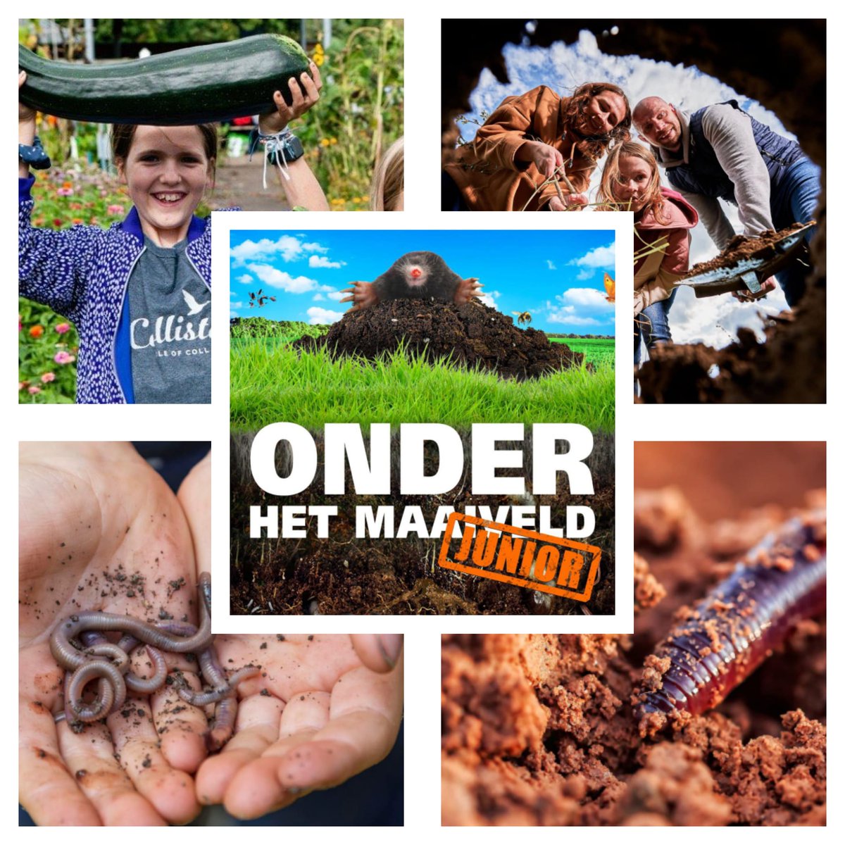 🪱🐜🐞🌱#krioelende #beestjes #onder #je #voeten... Leuke inspiratie voor de wat minder zonnige dagen van de aankomende Voorjaarsvakantie! De film Onder het Maaiveld #Junior draait vanaf vandaag in meer dan 60 bioscopen en filmtheaters door het hele land onderhetmaaiveldfilm.nl/junior