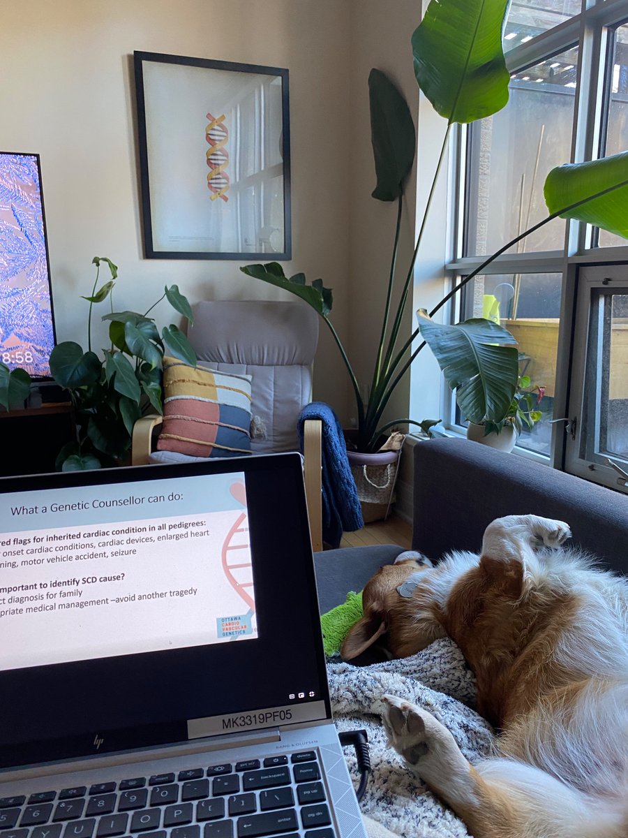 Someone is not quite as engaged in <a href="/HRCGC_Tweets/">Hamilton Regional Clinical Genetics Conference</a> as I am. 

It has been a great morning of talks! Looking forward to even more this afternoon