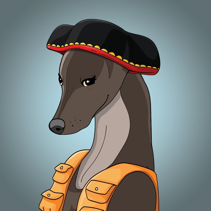 erkan_xrp's tweet photo. @XRPLGreyhound @XRPLGreyhound #Houndies $HOUND https://t.co/Uv5DU8FL8y