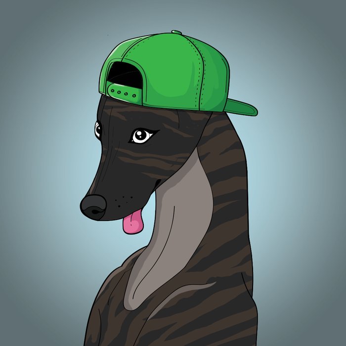 erkan_xrp's tweet photo. @XRPLGreyhound @XRPLGreyhound #Houndies $HOUND https://t.co/Uv5DU8FL8y
