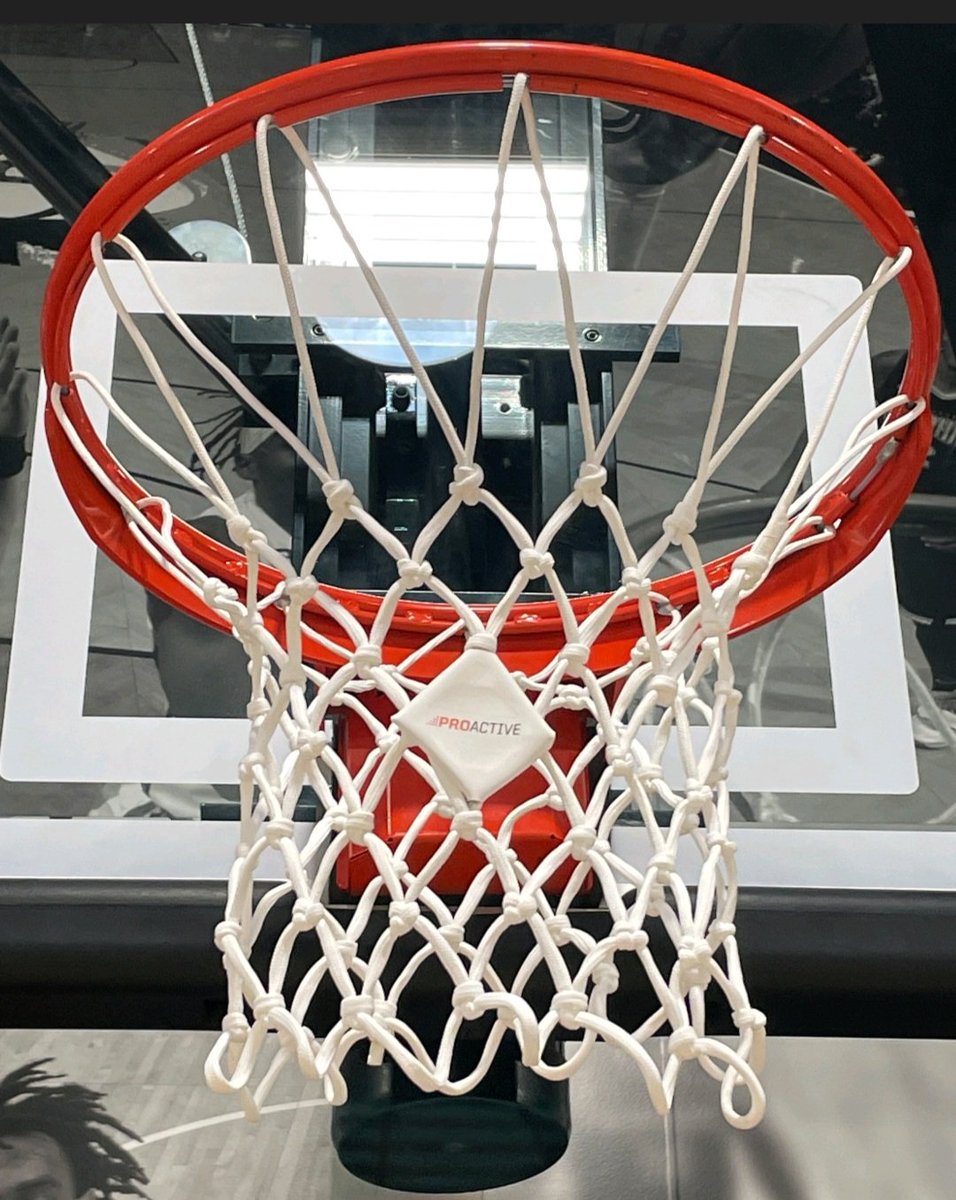 TamirGoodman's tweet photo. Some of the greatest 🏀 players train at the world renowned @proactivesp
gym. I hope they'll enjoy their new custom #AvivNet @avivsports https://t.co/qebLEAnlDc