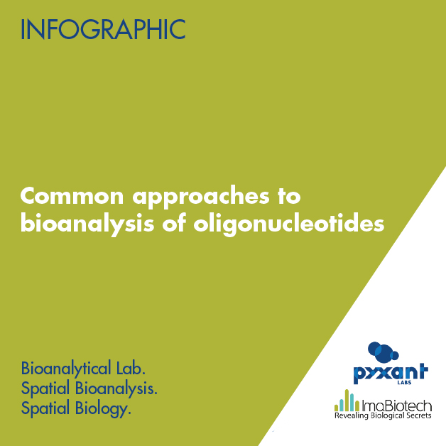 pyxant's tweet photo. #Oligonucleotides (OGNTs) are of rising importance within drug development, due to the promising and life-changing treatments they provide to patients. Learn more about the challenges and nuances that differ #OGNTs from other molecules: https://t.co/Ghy3gl4vqq  #biotech #pharma https://t.co/qBtLY0Nnem