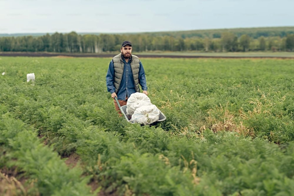 #Airdrop #Canada
After                           Before