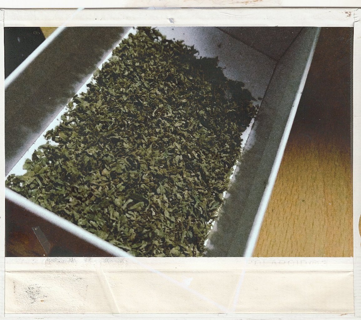 VigiaJaguar's tweet photo. #420Amigable | Recomendaciones (no solo para hoy)
Si la compa o el compa se 'mal viajan', no le deje 'morir', no sé burlen (el o la que lo haga es tombx). Ayúdele con hidratación y si la cuestión es de pálida un bocadillo no caería mal.
¿Otras recomendaciones? https://t.co/JMdc1qJqzo