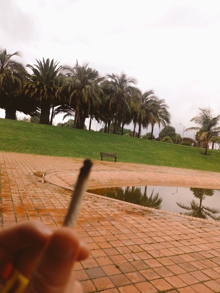 VigiaJaguar's tweet photo. #420Amigable | Recomendaciones (no solo para hoy)
Si la compa o el compa se 'mal viajan', no le deje 'morir', no sé burlen (el o la que lo haga es tombx). Ayúdele con hidratación y si la cuestión es de pálida un bocadillo no caería mal.
¿Otras recomendaciones? https://t.co/JMdc1qJqzo