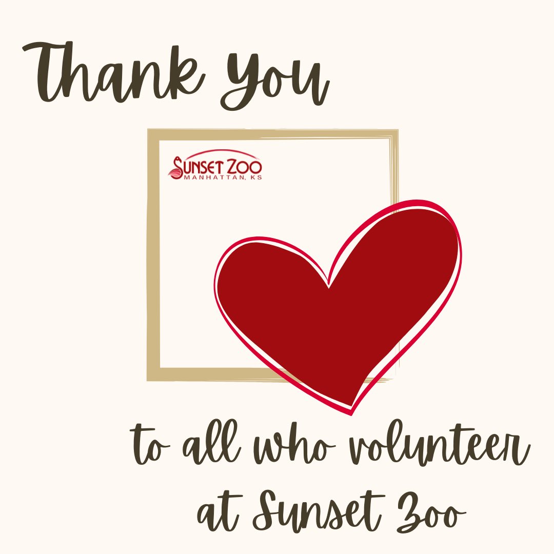 Sunset Zoo (sunsetzoo) / Twitter