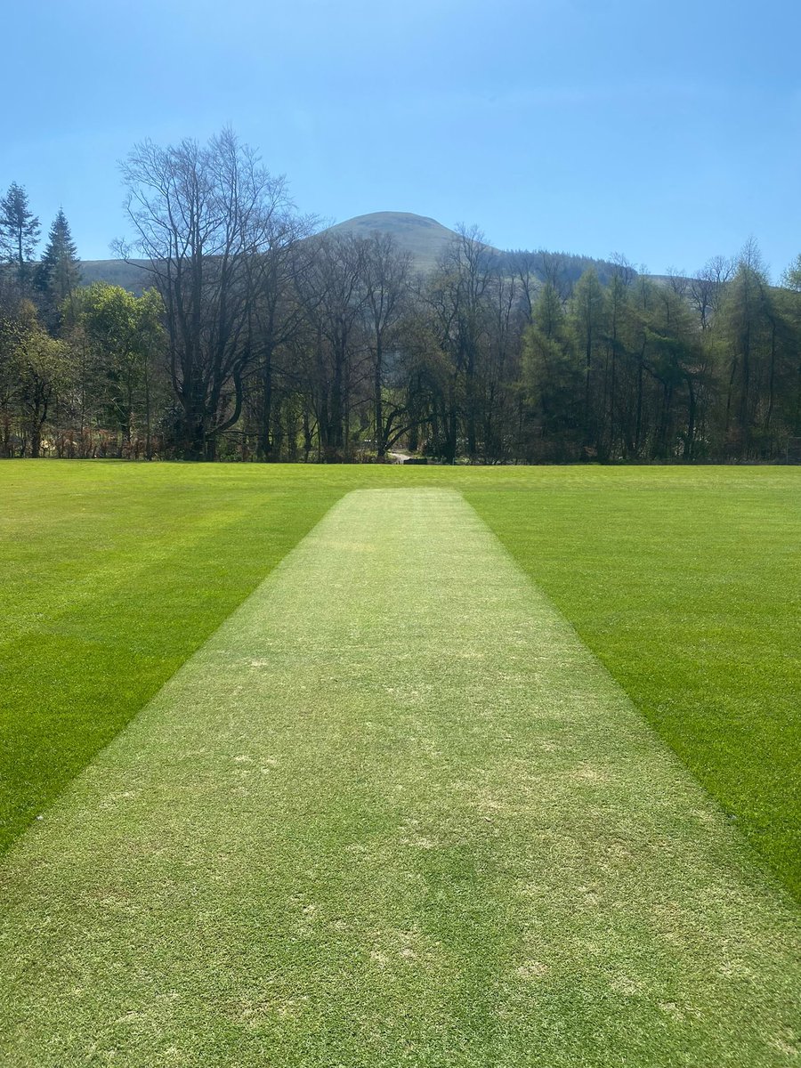 Falkland CC 🏏 tweet media