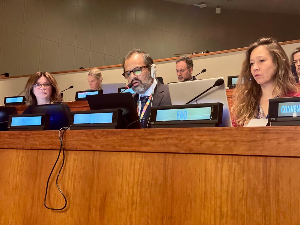 OITAmericas's tweet photo. Los #PueblosIndígenas deben estar presentes en los espacios de toma de decisión para la fórmulación de políticas de #ProtecciónSocial. Seguimos comprometidos en avanzar para contribuir a que estos pueblos gocen de sus derechos, dice @HCoronadoCh de #OIT durante el #UNFPII en NY. https://t.co/UuOYz5u4D0