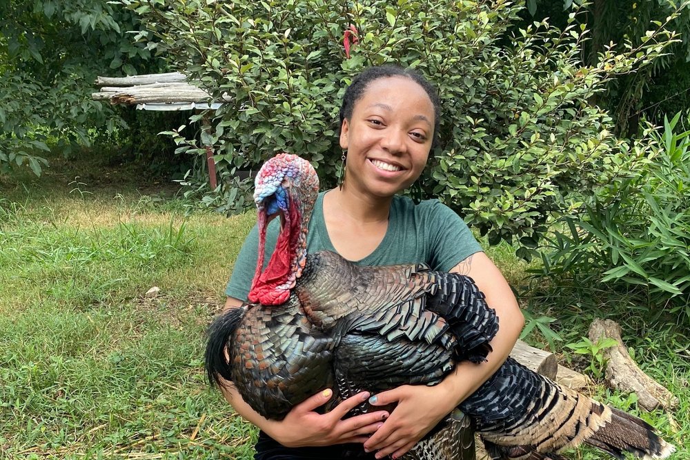 Join us for a family-friendly day of animal encounters and fun at our sanctuary event! Soul's Kitchen vegan food truck will be in attendance! Purchase tickets here: piedmontrefuge.org/events-calenda… 🐮🐔🐄🐐🐑🐓🦃🦆🌱