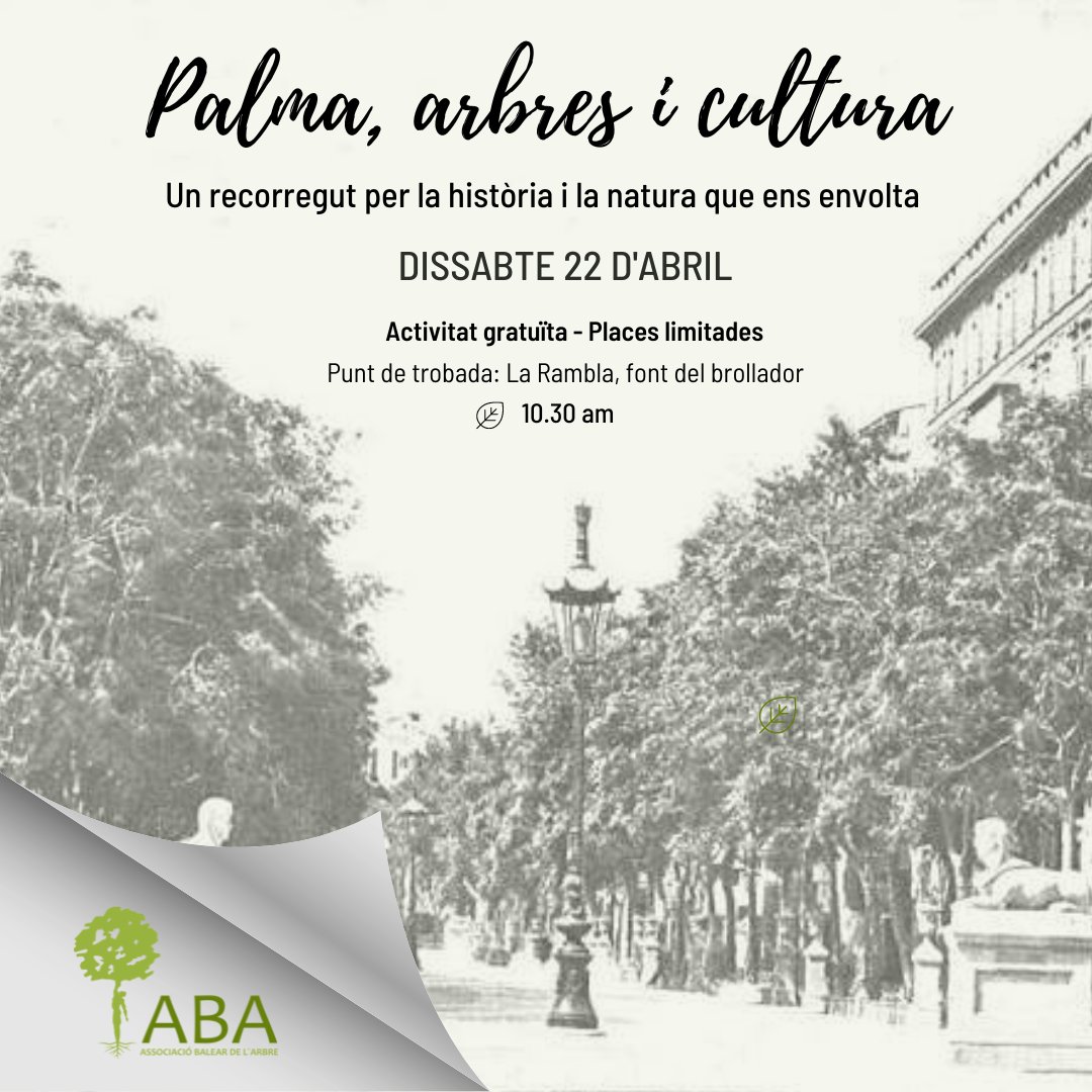 ARBREBALEAR's tweet photo. 👉Sabies que el passeig del Born va ser durant molts anys una esplanada de fang i pols?
Descobreix més coses sobre els arbres i Ciutat aquest dissabte.
✏️Pots apuntar-te en el següent enllaç (places limitades): https://t.co/4CDU7KjF0W… #arbrebalear #ABA #Palma https://t.co/Nh2Vuf7EqJ