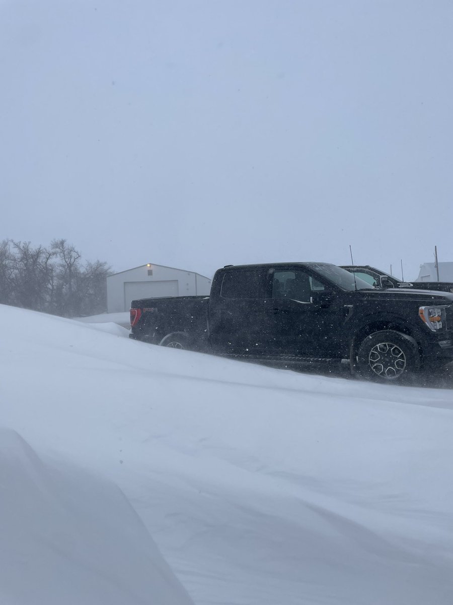 Anna Grisnich tweet media