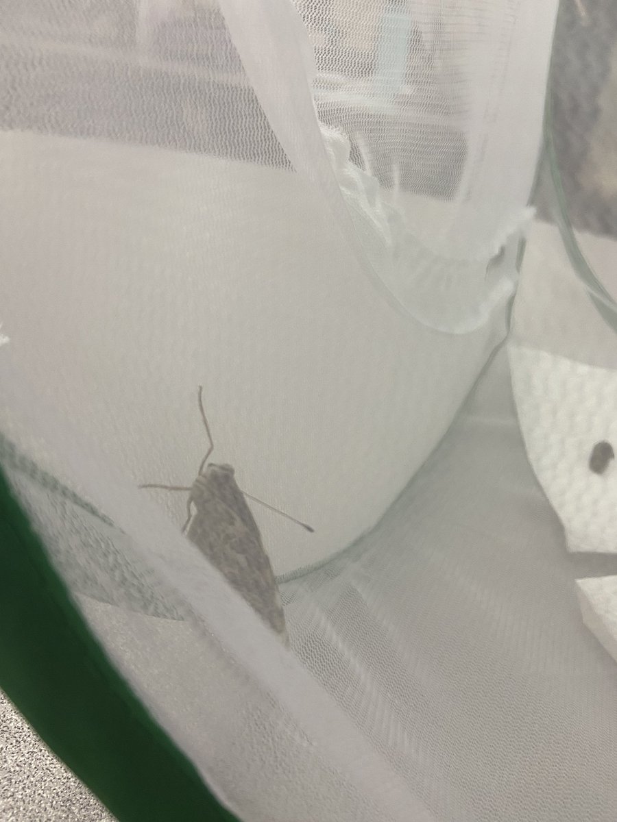 Claire Crouch tweet media