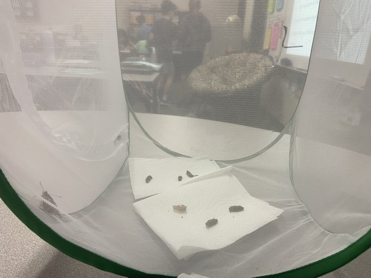 Claire Crouch tweet media