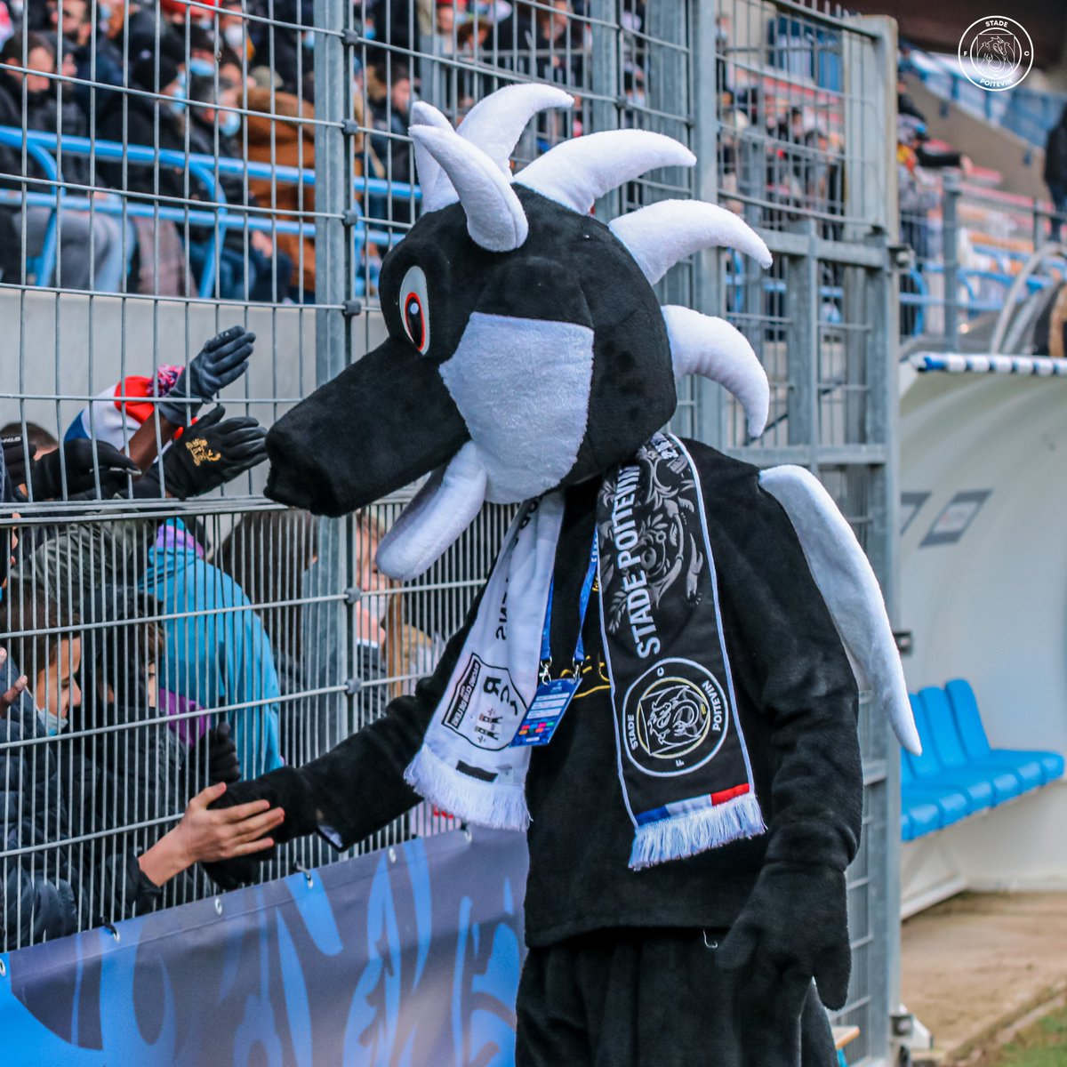 SebiLabFM's tweet image. LE FOOTBALL EN AQUITAINE

Il y a quelques semaines je suis tombé sur le compte du club de foot où j&apos;ai grandis à Saint-Paul-lès-Dax dans les Landes. Et ce beau projet m&apos;a fait m’interroger sur la place du football dans la plus vaste région de France. 

⚽🏈🏀 🌊 Thread.