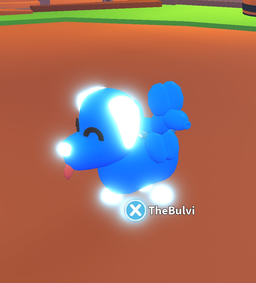 Adopt Me! on Twitter: "RT @TheBulvi: My blue dog is happy with the new