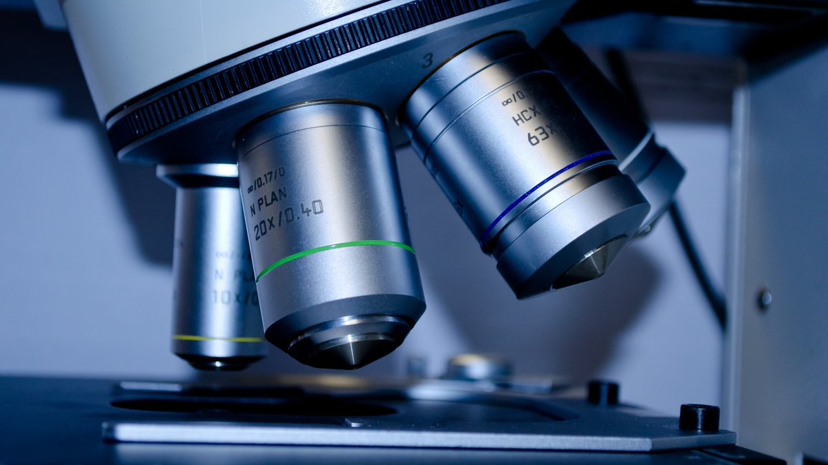 Zusammenarbeit stärken: Dem neuen EU-Forschungsverbund „HALRIC“ gehören u. a. Universitäten und Kliniken aus Deutschland und Skandinavien an. Die Kooperation dient der Forschung in gesellschaftlichen Themenfeldern, wie der Bekämpfung von Krankheiten. uhh.de/pemrv