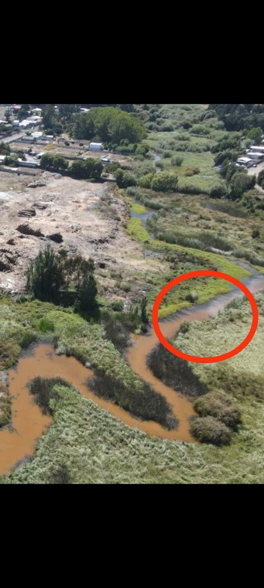 humedalesbiobio's tweet photo. En el Biobío tenemos casos muy complejos con los #HumedalesUrbanos; varios sin protección y otros con protección sólo en papel 😰😰😡😡.
Primeras imágenes del #Humedal Boca Maule de Coronel, 3ra y 4to registro; Santuario Laguna Grande de San Pedro de la Paz 😰😰😡😡
@mmabiobio https://t.co/DN81ojdAef