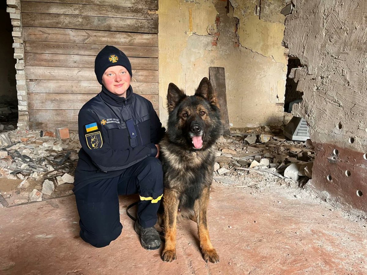 kerimunal1000's tweet photo. The Dog of the day...
"Meet Nika, Ukraine's first female engineer handler, and her German Shepherd, Hosha, who are among 265 service dogs helping the National Guard clear Ukraine of explosives. https://t.co/OvxlRPu6L3