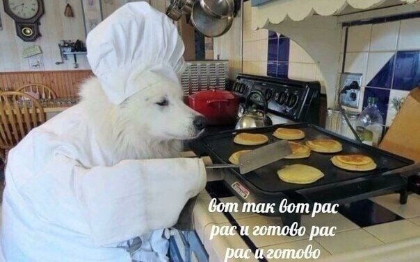 makofca1's tweet photo. Я жива я жива честно я скоро щас рас рас https://t.co/a8QRnO3KyL