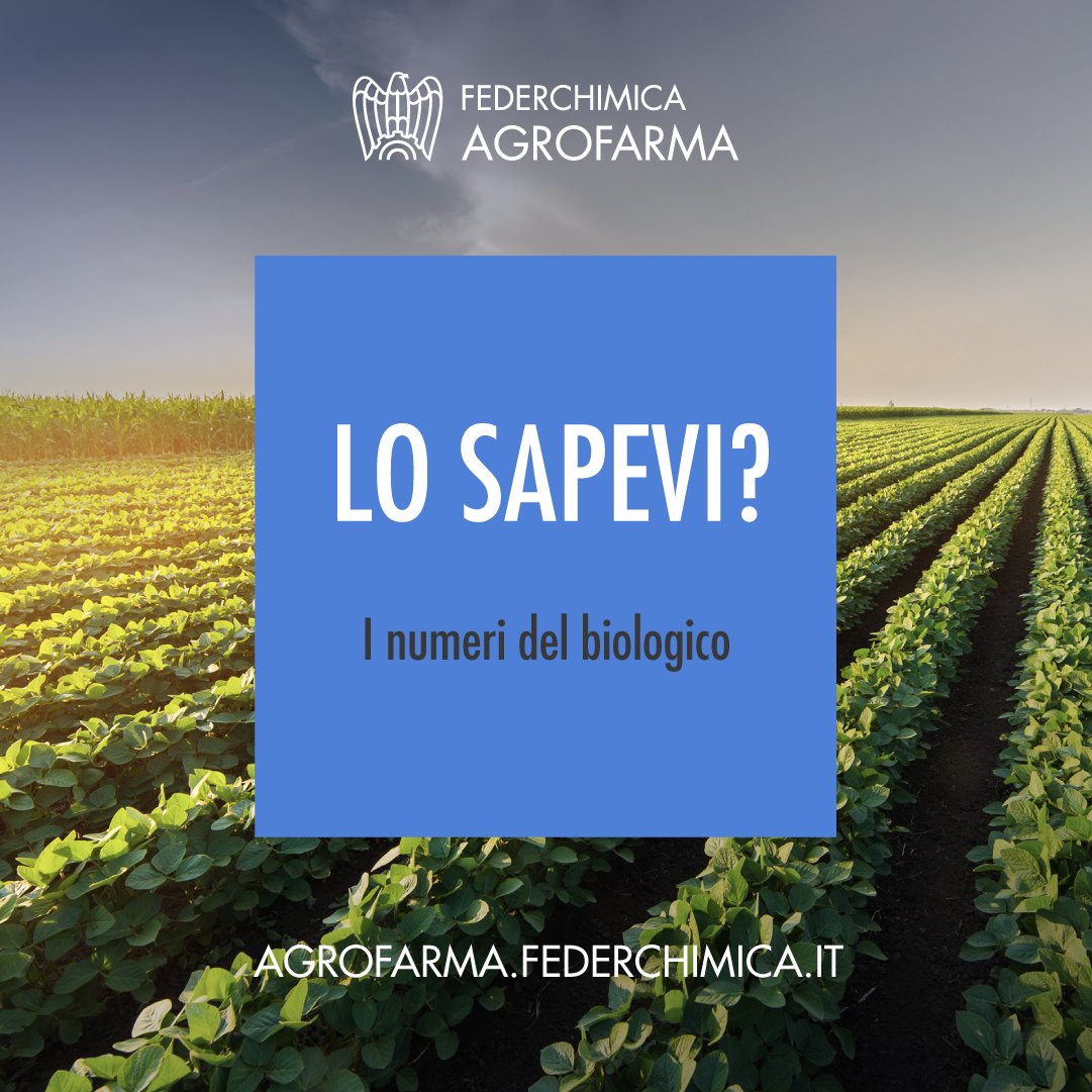 Agrofarma_news's tweet photo. Obiettivi di #sostenibilità e #investimenti: @Federchimica Agrofarma già oggi rappresenta il 50% dei prodotti autorizzati per il #biologico. Sono stati previsti entro il 2030 altri 4mld di euro in ricerca e sviluppo di prodotti #biologici. https://t.co/D0bzsEp4MO