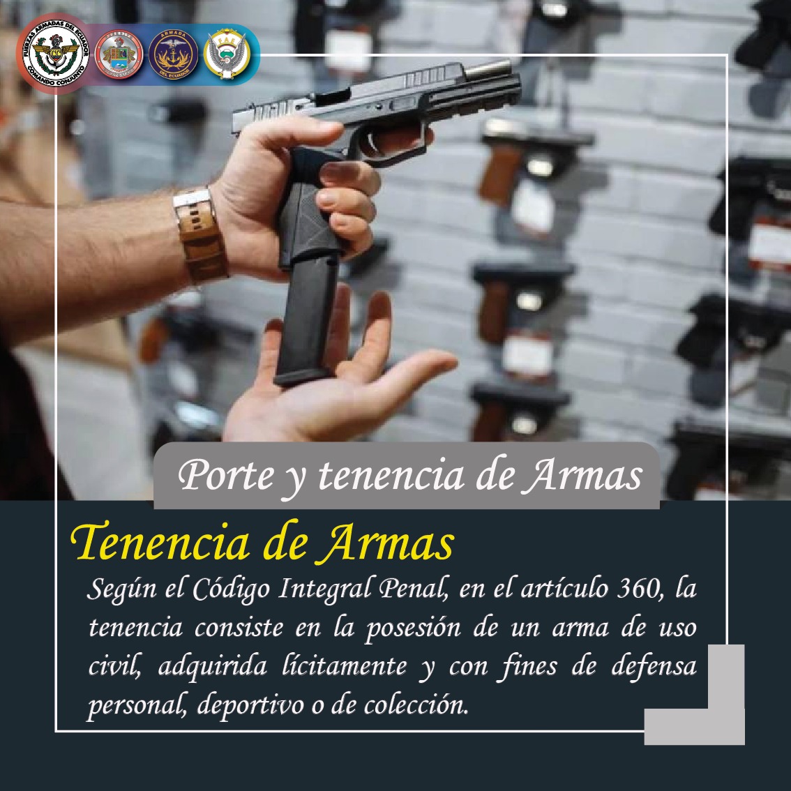 Fuerzas Armadas del Ecuador on X: ¡RECUERDA! 👉La tenencia de armas  consiste en la posesión de un arma de uso civil, adquirida lícitamente y  con fines de defensa personal, deportivo o de
