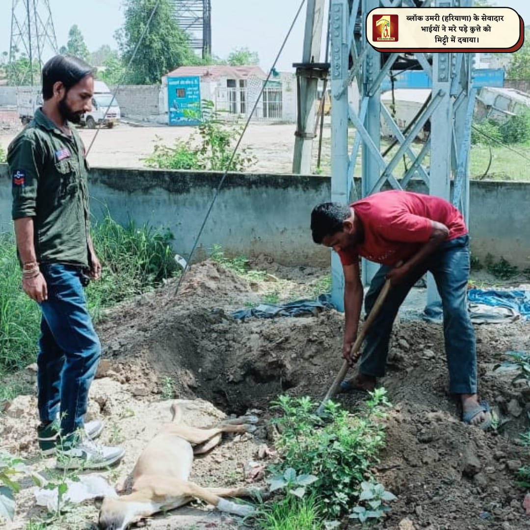 SAFE ROADS, SAVE LIVES Kudos to #DeraSachaSauda Volunteers, who clear obstacles like fallen trees and animal carcasses from roads, preventing accidents and ensuring safer travel! #SaveLives #SaintDrMSG #RoadSafety