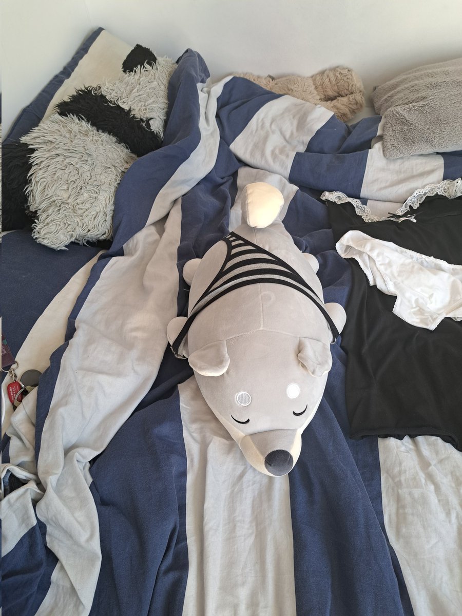 Spooksy_Boi's tweet photo. Name him now!
#youtuber #femboy https://t.co/TI0SeNRpUw
