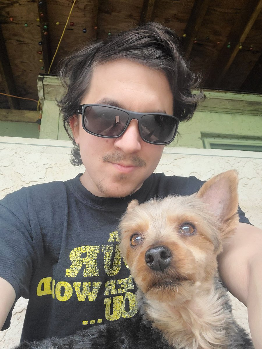 Gimli329's tweet photo. @ashslayxx16 Twix staring at a rabbit he wants to chase and fail lol https://t.co/TFX2eWNuID