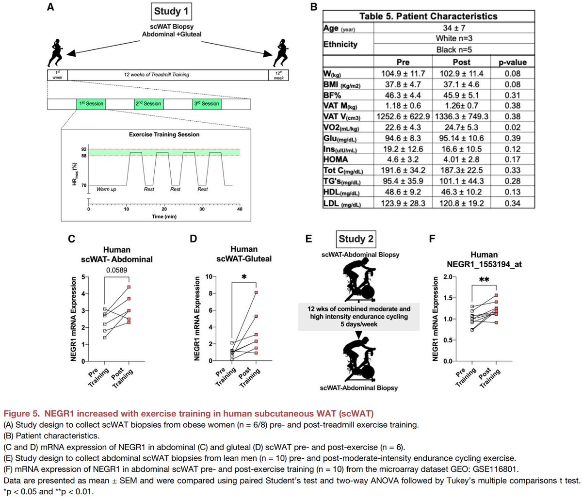 Excited to share our #SingleCell and #SpatialTranscriptomics analysis of #ExerciseTraining remodeling of #WhiteAdiposeTissue through innervation, vascularization, and #ExtracellularMatrix in mouse and human with #LaurieGoodyear #JanWillemMiddelbeek @PasqualeNigro9 @MVamvini