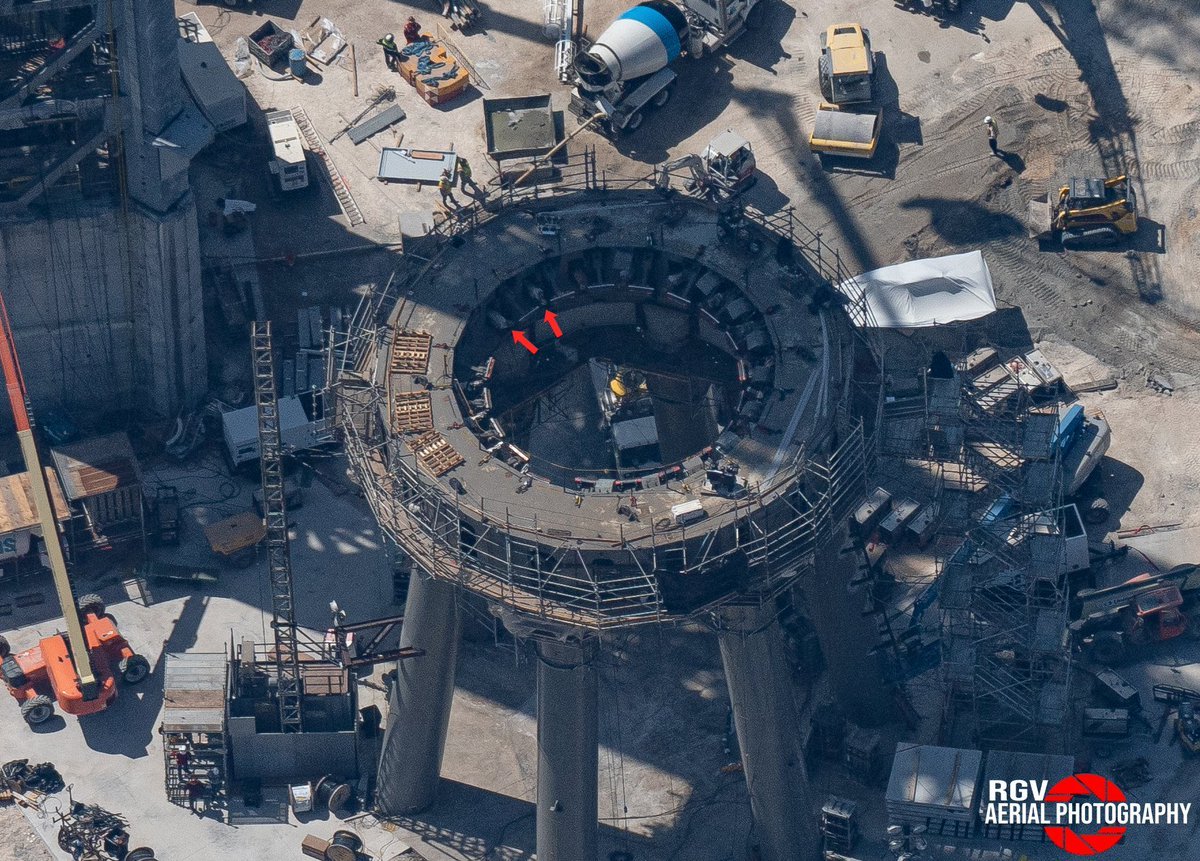 mooroo 🐝 tweet media