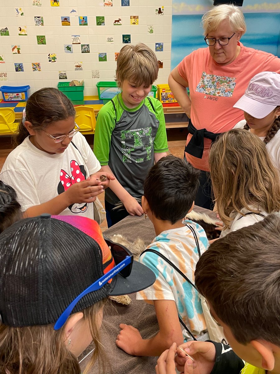 JayeDitter's tweet photo. Lincoln Elementary School, Hays, 3rd graders are the first to join us for Safari Edventure days at Rolling Hills Zoo! Great start to the morning, spending time with the animals and learning more about their environments and adaptations. @SmokyHillEd https://t.co/ItQOxlHFXF